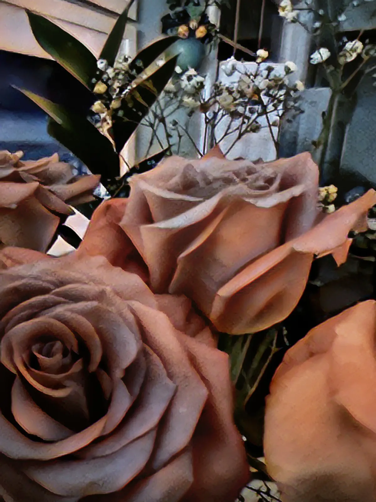 Roses, photograph
